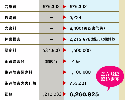 賠償額詳細表