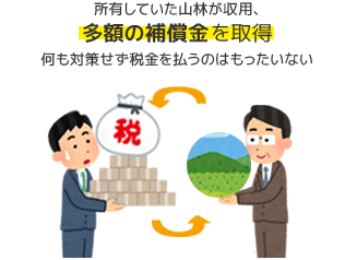 所有していた山林が収用、多額の補償金を取得何も対策せず税金を払うのはもったいない